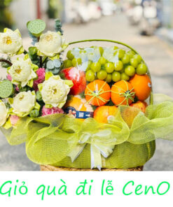 Lẵng trái cây hoa tươi-CN35