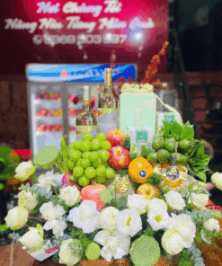 QUẢ THĂM NHÀ-51