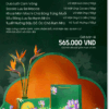 Hộp bánh trung thu bích liên minh nguyệt- 6 bánh